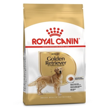 Royal Canin Golden Retriever Adult - Ração seca para cão de raça