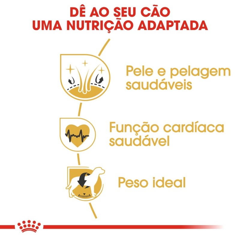 Royal Canin Golden Retriever Adult - Ração seca para cão de raça