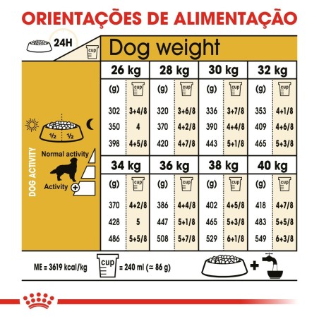 Royal Canin Golden Retriever Adult - Ração seca para cão de raça