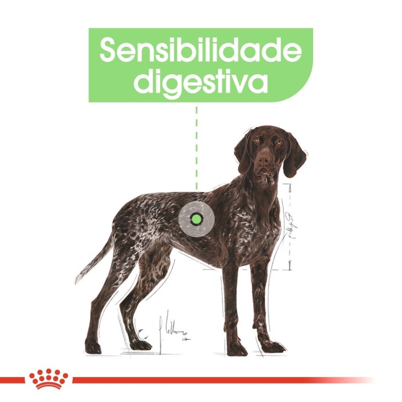 Royal Canin Digestive Care Maxi Adult - Ração seca para cão de porte grande com sensibilidade digestiva