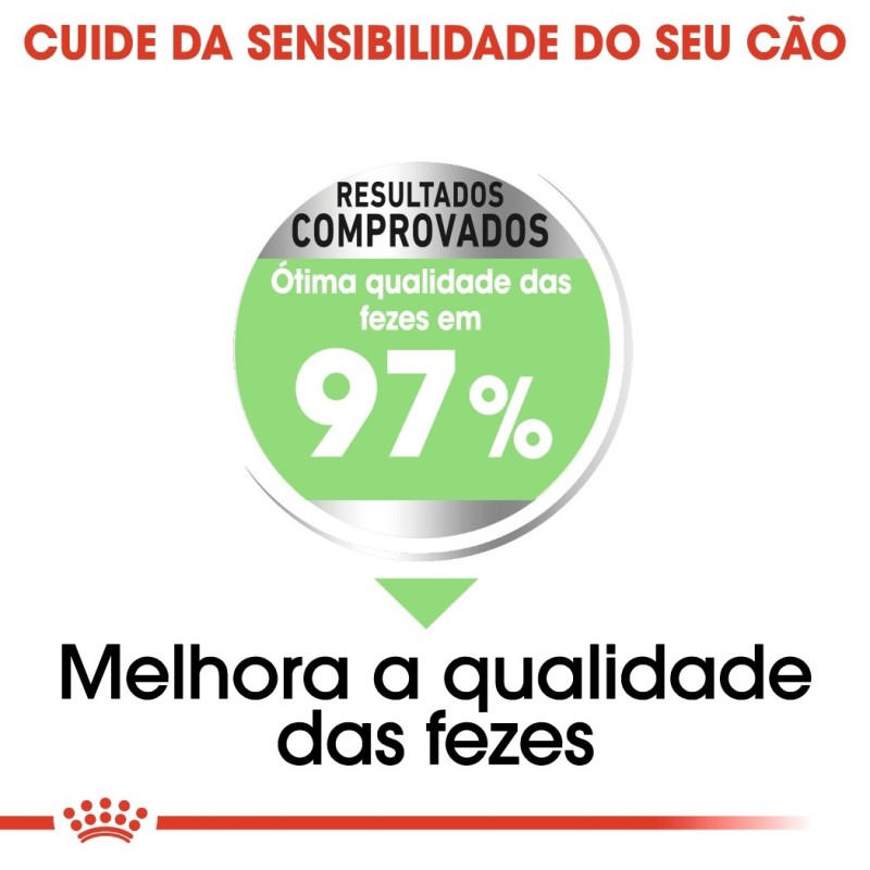 Royal Canin Digestive Care Maxi Adult - Ração seca para cão de porte grande com sensibilidade digestiva