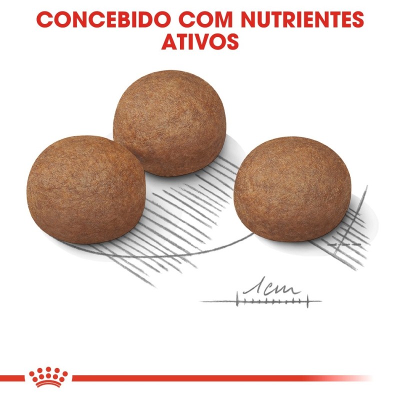 Royal Canin Digestive Care Maxi Adult - Ração seca para cão de porte grande com sensibilidade digestiva