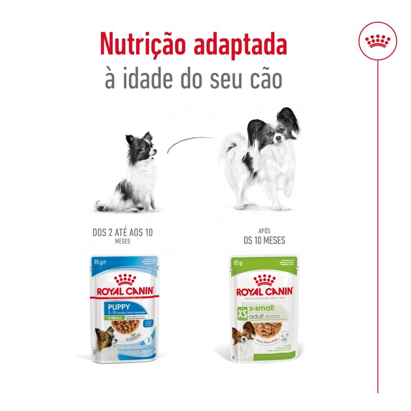 Royal Canin Adult X-Small - Alimento em molho para cão de porte muito pequeno