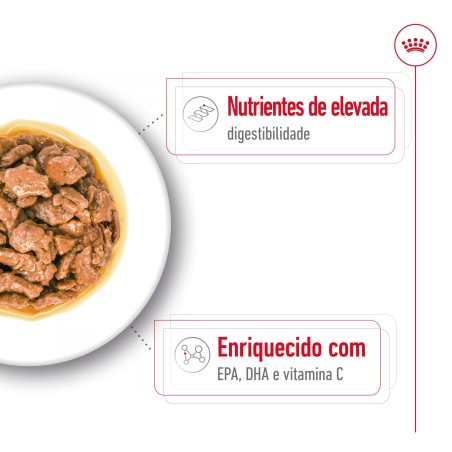 Royal Canin Adult X-Small - Alimento em molho para cão de porte muito pequeno