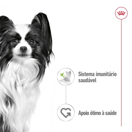 Royal Canin Adult X-Small - Alimento em molho para cão de porte muito pequeno