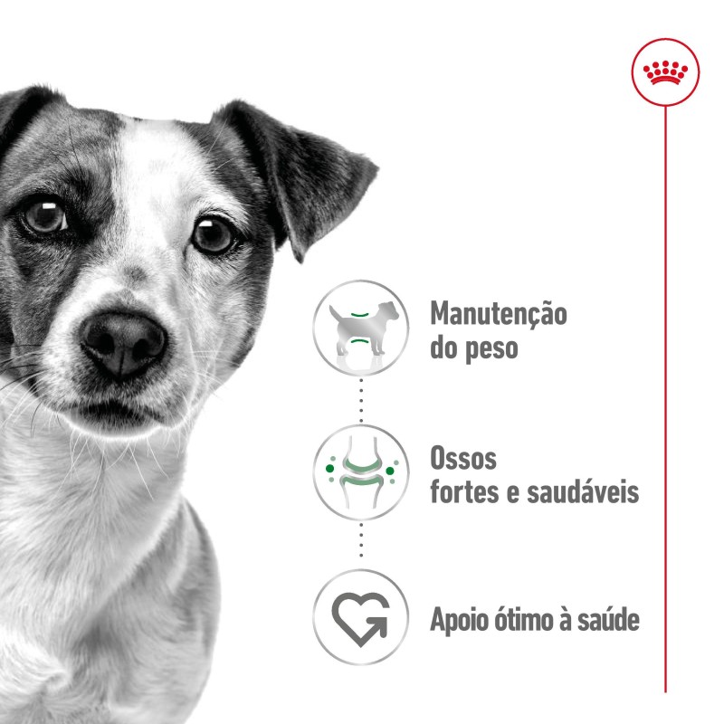 Royal Canin Mini Adult - Alimento em patê para cão de porte pequeno