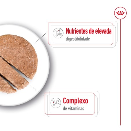 Royal Canin Mini Adult - Alimento em patê para cão de porte pequeno