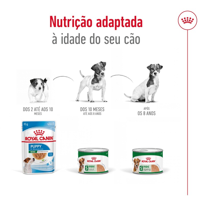 Royal Canin Mini Ageing 8+ - Alimento em patê para cão de porte pequeno com mais de 8 anos