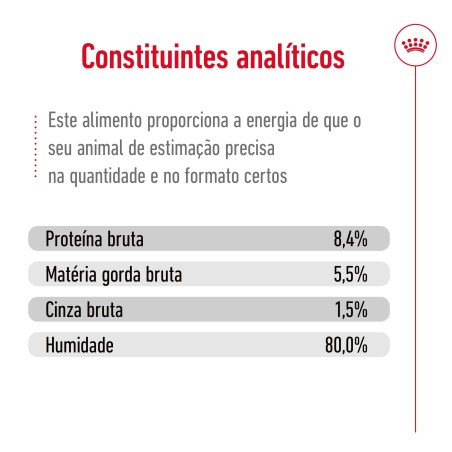 Royal Canin Mini Ageing 8+ - Alimento em patê para cão de porte pequeno com mais de 8 anos