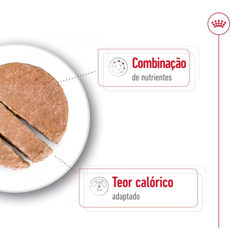 Royal Canin Mini Ageing 8+ - Alimento em patê para cão de porte pequeno com mais de 8 anos