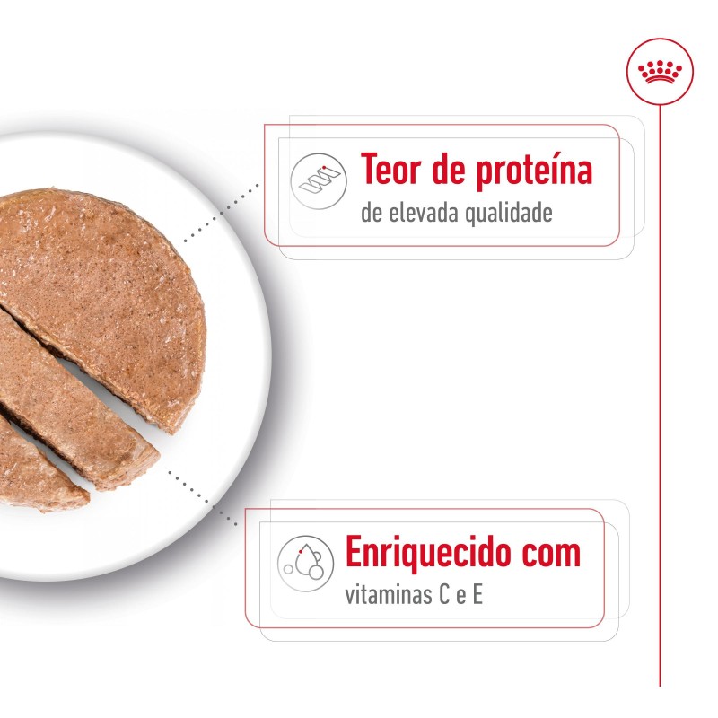 Royal Canin Medium Adult - Alimento em patê para cão de porte médio