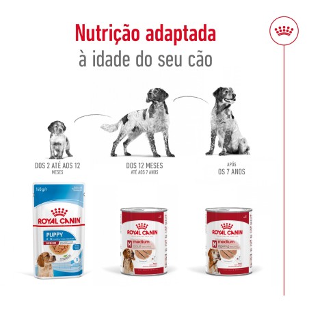 Royal Canin Medium Adult - Alimento em patê para cão de porte médio