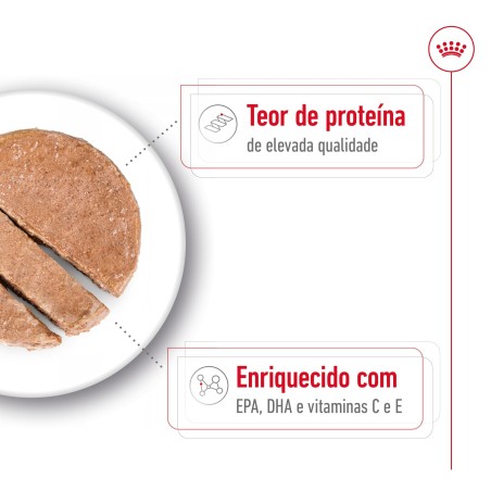 Royal Canin Medium Ageing 7+ - Alimento em patê para cão de porte médio com mais de 7a anos