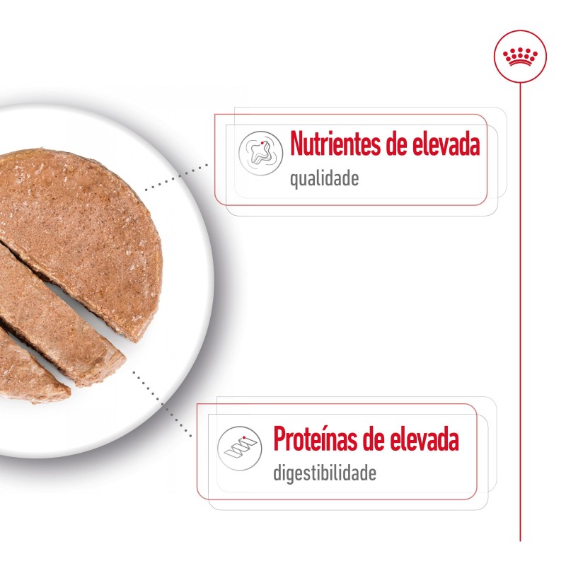 Royal Canin Maxi Adult - Alimento em patê para cão de porte grande