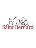 Saint Bernard